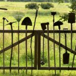 Tools you need for your lawn