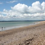 Choosing the Best Lawncare Services on Hayling Island