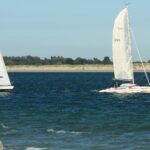 Comprehensive Lawncare Solutions for Hayling Island Residents