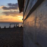 The Benefits of Professional Lawncare on Hayling Island