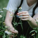Creating a Stunning Garden in Littlehampton with LawnCare Chichester
