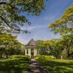 Top Lawncare Mistakes to Avoid in Selsey