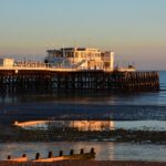 Lawn Disease Prevention and Treatment in Worthing