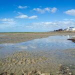 Top Lawncare Services in Worthing by LawnCare Chichester