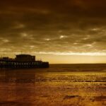 Transform Your Worthing Garden with Expert Lawncare