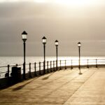 Seasonal Lawncare Tips for Worthing Homeowners