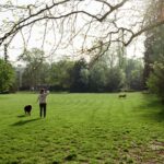 Expert Lawncare Advice for Emsworth Residents