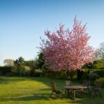 The Role of Professional Lawncare in Emsworth's Beautiful Gardens