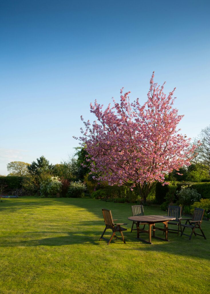 The Role of Professional Lawncare in Emsworth's Beautiful Gardens