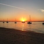 Best Lawn Care Services in Chichester Transform Your Garden Today