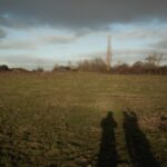 How Lawn Aeration Can Solve Drainage Problems & Improve Grass Growth