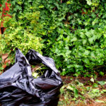 How Professional Lawn Maintenance Can Improve Your Business’s Curb Appeal