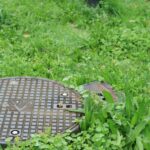 How Regular Lawn Care Can Help You Enjoy a Weed-Free, Lush Garden