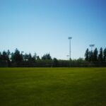 How to Achieve a Picture-Perfect Lawn in Bognor Regis with Professional Care