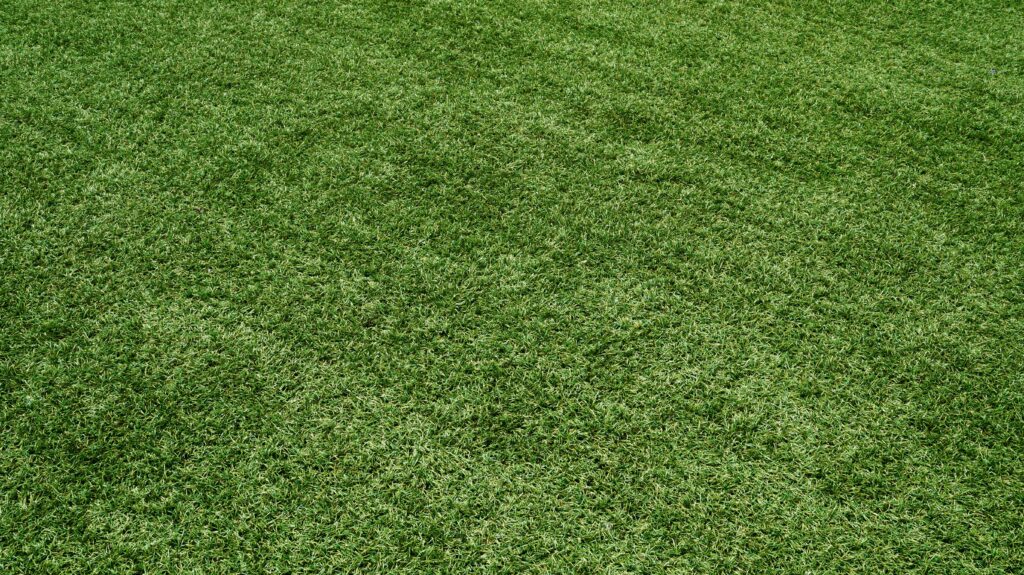 Reliable Lawn Care in Selsey & Emsworth The Secret to a Lush, Vibrant Garden
