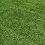 Reliable Lawn Care in Selsey & Emsworth The Secret to a Lush, Vibrant Garden