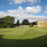 The Benefits of Hiring a Lawn Care Specialist vs DIY Lawn Maintenance