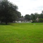 Top Reasons Property Managers Should Invest in Professional Lawn Care