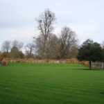 Why Regular Lawn Maintenance Is Essential for a Healthy, Green Lawn