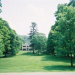 How Lawn Care Can Boost Your Home’s Value Before You Sell – Chichester, Arundel & Emsworth