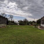 How to Bring a Dead Lawn Back to Life Expert Tips That Actually Work (Chichester, Arundel & Emsworth)