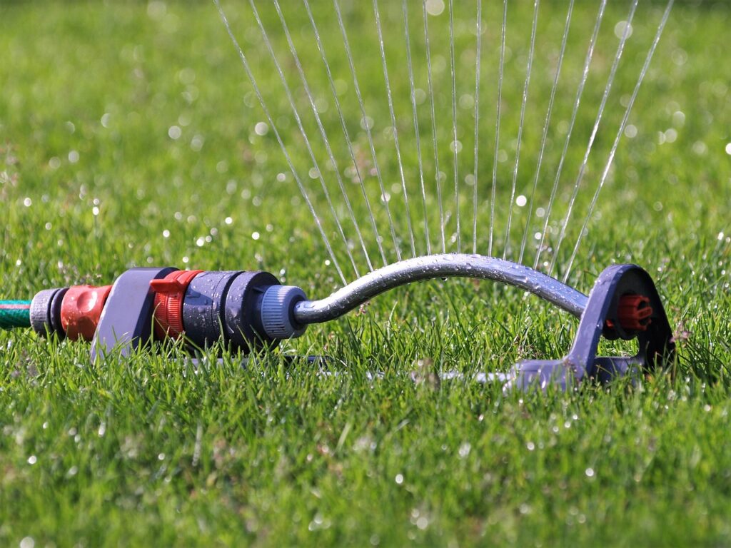 How Often Should You Water Your Lawn in Chichester’s Climate