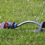 How Often Should You Water Your Lawn in Chichester’s Climate