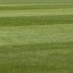 How to Create Striped Lawn Patterns Like a Professional