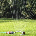 Keeping Your Lawn Green During a Hosepipe Ban in West Sussex