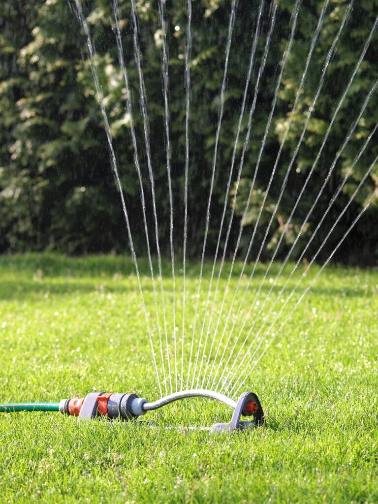 Keeping Your Lawn Green During a Hosepipe Ban in West Sussex