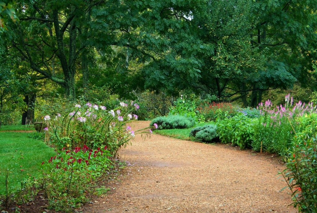 Lawn Care vs Landscaping What’s the Difference & Do You Need Both