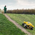 Lawn Mowing Tips for Emsworth & Arundel Gardens Height, Timing & Mistakes to Avoid