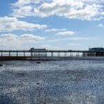 Scarification vs Aeration Which Lawn Treatment Does Your West Sussex Garden Need