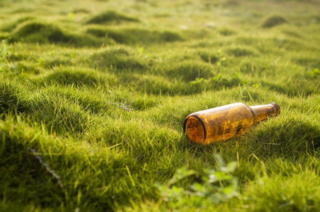 The True Cost of Neglecting Your Lawn Why Maintenance Saves You Money