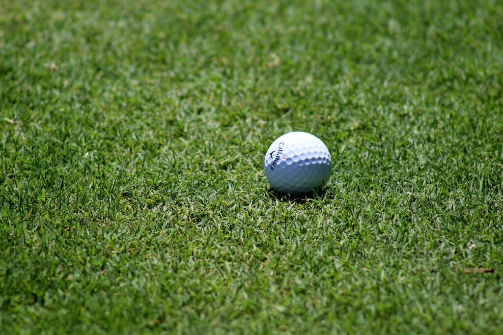What Is Top Dressing And Why West Sussex Lawns Love It