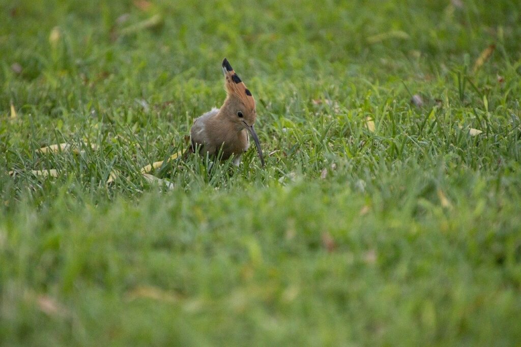 How to Fix a Waterlogged Lawn in Emsworth (Without Re-Turfing)