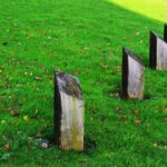 New to Professional Lawn Care in Chichester Here’s What to Expect on Your First Visit