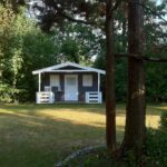 Lawn Care for Coastal Gardens Chichester, Selsey and Bracklesham Bay