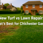 Weed Control in Chichester Lawns What Actually Works Long Term