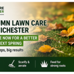 Autumn Lawn Care in Chichester Prepare Your Lawn for Winter