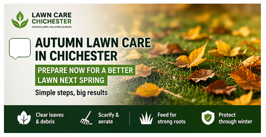 Autumn Lawn Care in Chichester Prepare Your Lawn for Winter