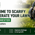 Best Time to Scarify and Aerate Your Lawn in Chichester