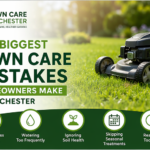 Biggest Lawn Care Mistakes Homeowners Make