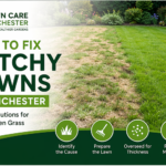 How to Fix Patchy Lawns in Chichester