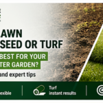 New Lawn in Chichester: Should You Use Seed or Turf?