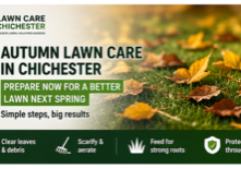 Autumn Lawn Care in Chichester Prepare Your Lawn for Winter