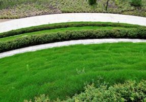 Chichester Lawn Edging Simple Tricks to Sharpen Your Garden Borders