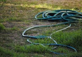 Hosepipe Ban Lawn Care In West Sussex Keep Grass Alive Legally