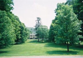 How Lawn Care Can Boost Your Home’s Value Before You Sell – Chichester, Arundel & Emsworth