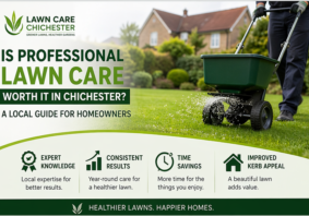Is Professional Lawn Care Worth It in Chichester